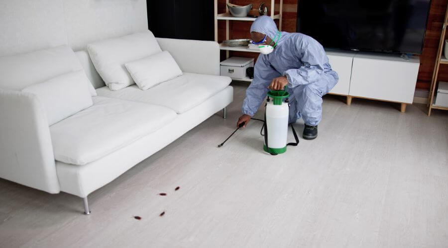 Why choose Coos Bay Quarterly Pest Control for quarterly pest control in Coos Bay